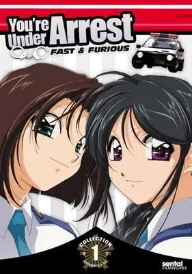 Вы арестованы 2 сезон